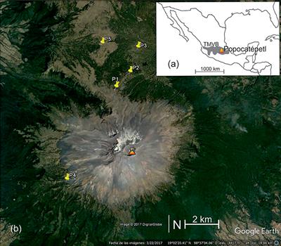 Breathing and Coughing: The Extraordinarily High Degassing of Popocatépetl Volcano Investigated With an SO2 Camera
